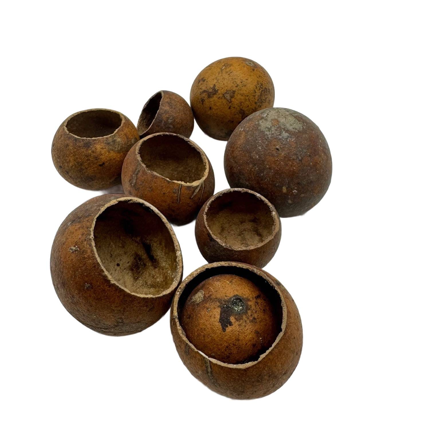 Kuruchi Fruit 3-5cm Kuruchi Fruit 3-5cm