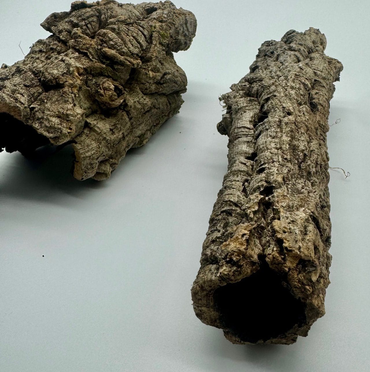 Tuby korkowe tuba korkowa dębowa do terrarium 17-23cm / 4-6cm Tuby korkowe tuba korkowa dębowa do terrarium 17-23cm / 4-6cm - obrazek 2