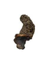 Wąskie tuby korkowe tuba korkowa dębowa 25-30cm / 4-6cm - obrazek 3