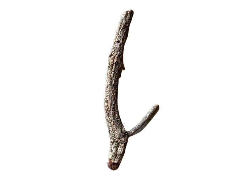 Gałęzie korkowe proste do terrarium 70-80cm Gałęzie korkowe proste do terrarium 70-80cm - obrazek 3