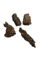 Kora z dębu korkowego do terrarium płat roz. XXS 4-7cm - obrazek 3