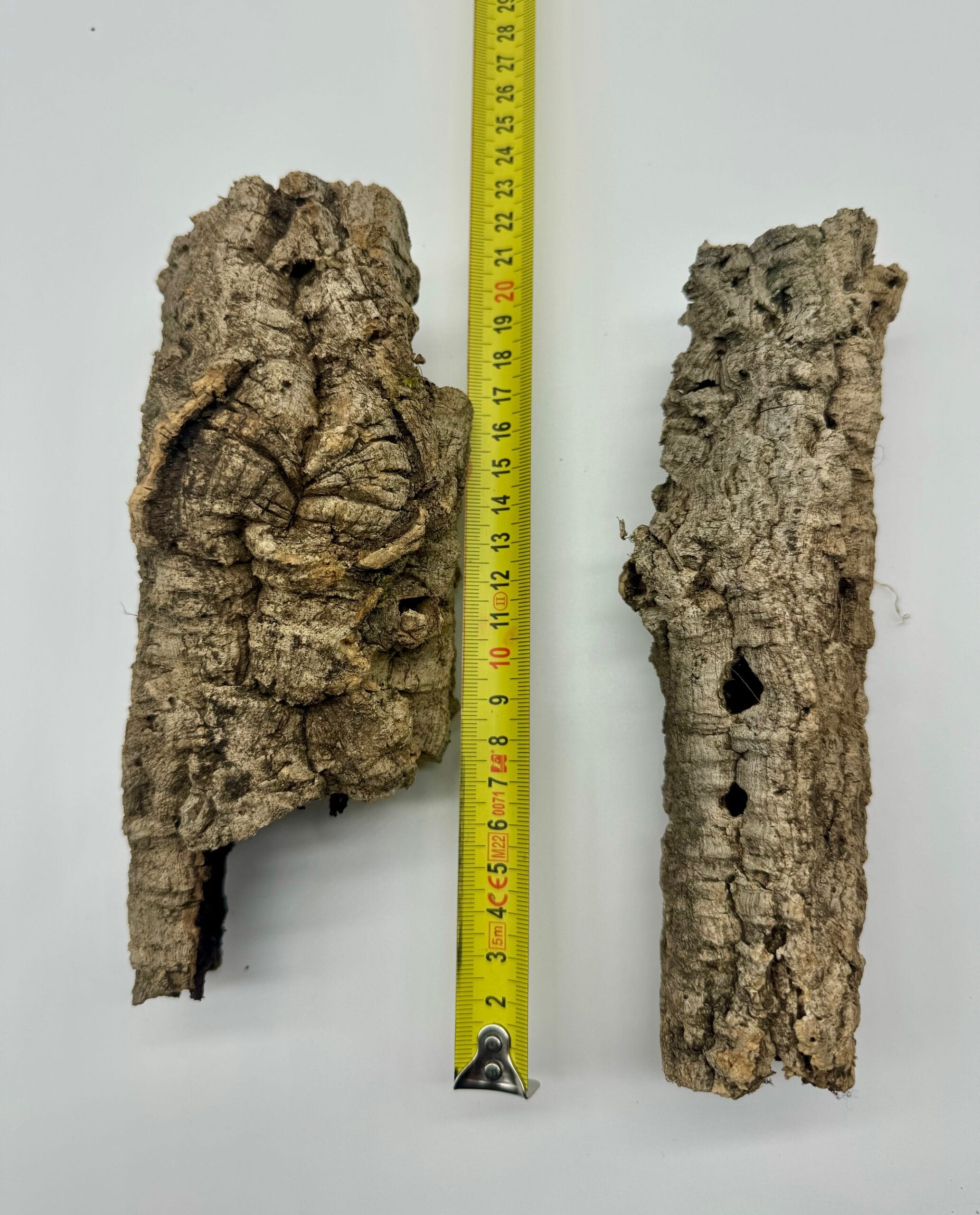 Tuby korkowe tuba korkowa dębowa do terrarium 17-23cm / 4-6cm Tuby korkowe tuba korkowa dębowa do terrarium 17-23cm / 4-6cm - obrazek 4