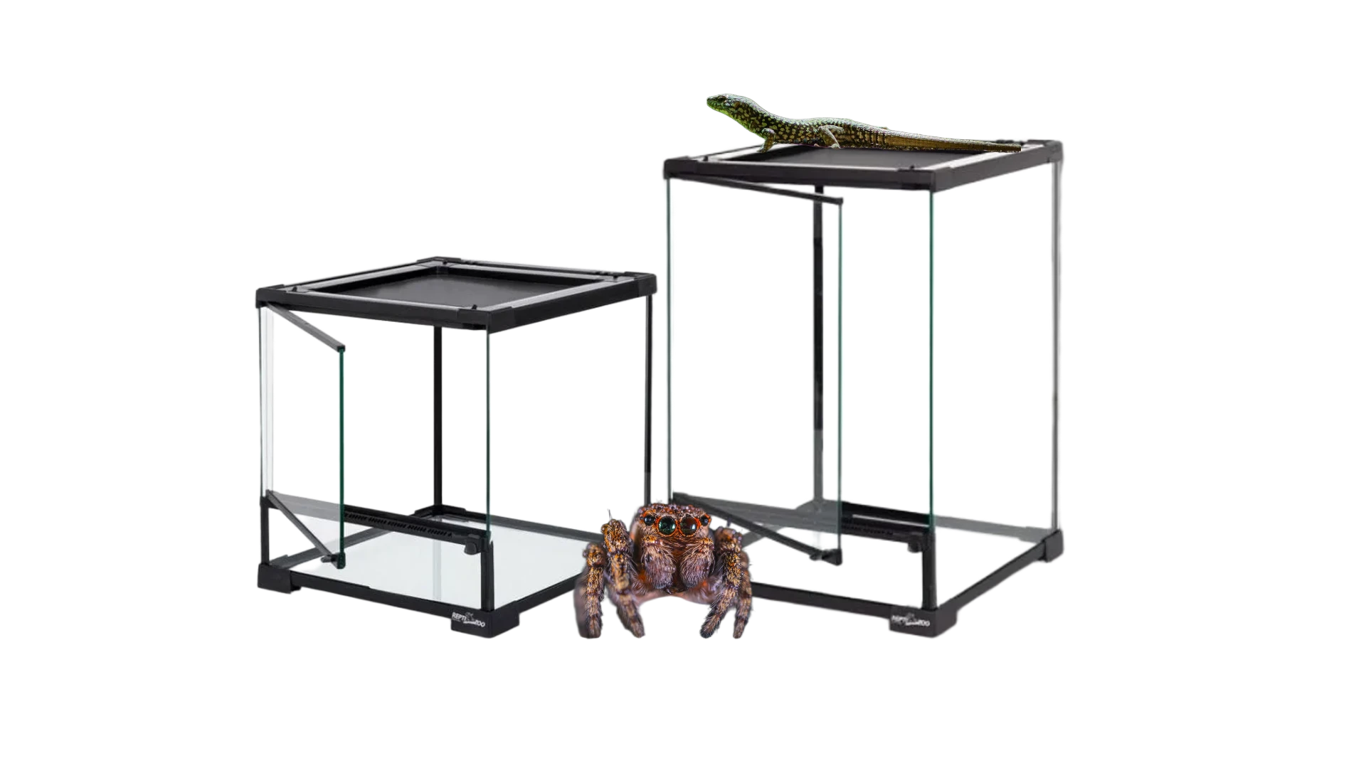 Repti-Zoo terrarium dla pająka, owadów