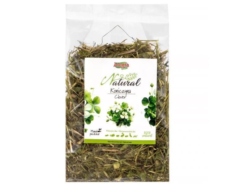 Anatomia, cechy i zachowanie żółwi: fascynujący świat gadów Alegia Natural koniczyna suszona 100g