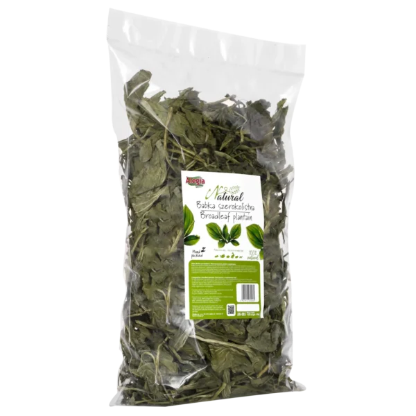 Alegia Zioła babka szerokolistna 100g Alegia Zioła babka szerokolistna 100g - obrazek 2