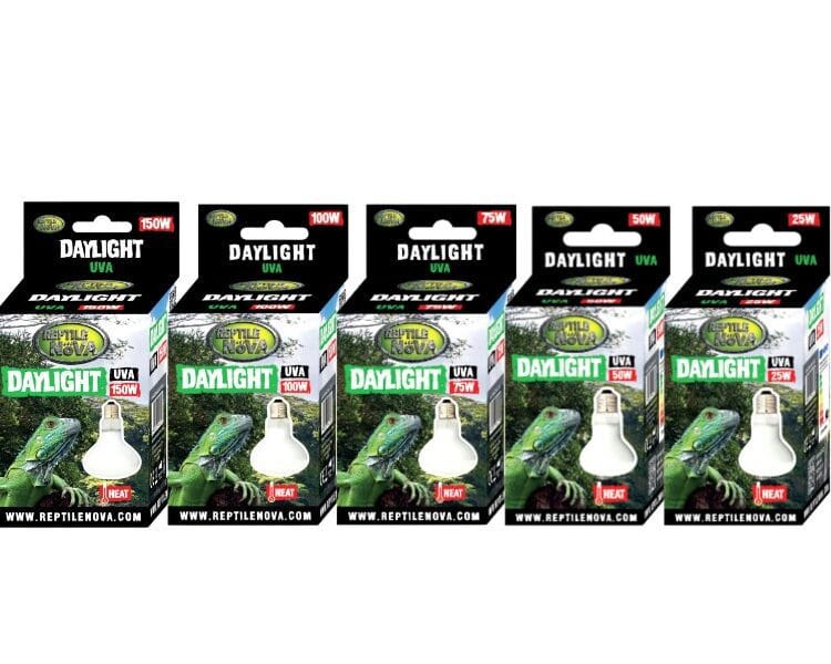 Żarówka grzewcza Daylight Reptile Nova