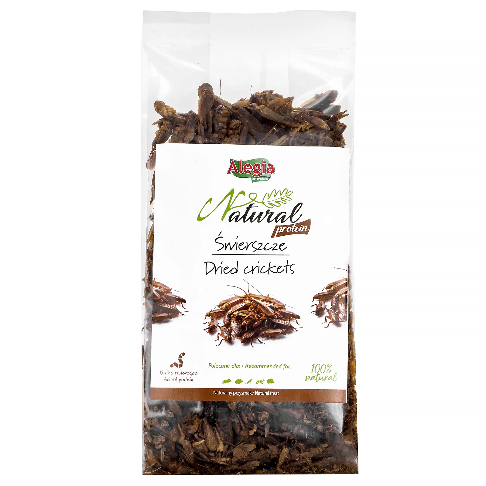 Alegia Natural Protein świerszcze suszone 100g Alegia Natural Protein świerszcze suszone 100g - obrazek 3