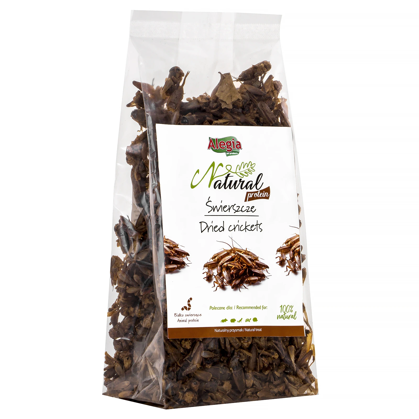 Alegia Natural Protein świerszcze suszone 100g Alegia Natural Protein świerszcze suszone 100g - obrazek 2