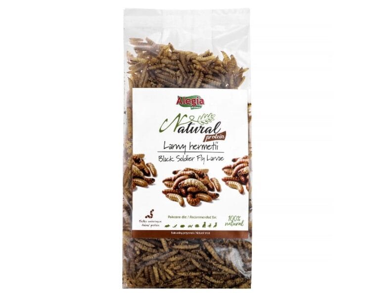 Alegia Natural Protein larwy hermetii 60g