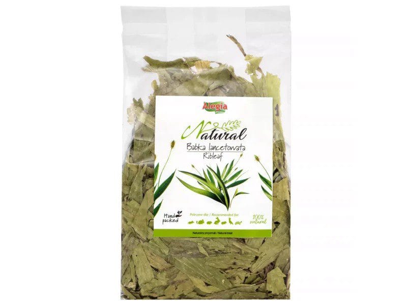 Alegia Natural Babka lancetowata 100g Alegia Natural Babka lancetowata 100g