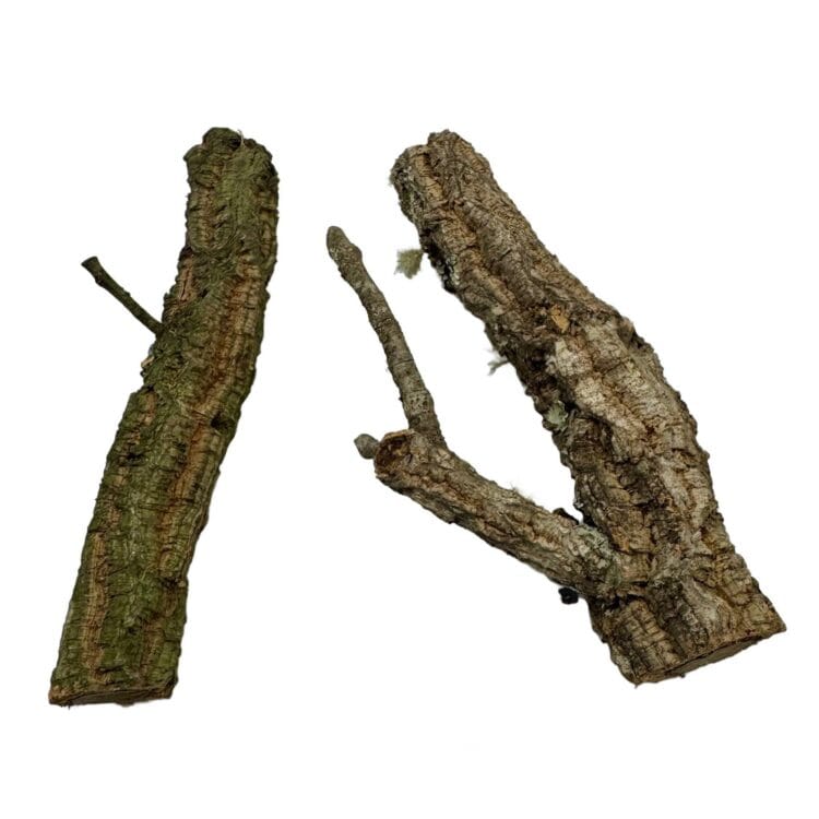 Gałęzie korkowe proste do terrarium 17-20cm