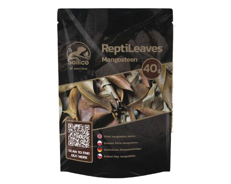 ReptiLeaves Mangosteen 40g liście mangostanu do terrariów tropikalnych