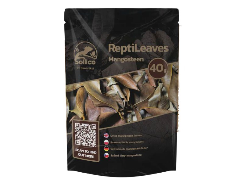 ReptiLeaves Mangosteen 40g liście mangostanu do terrariów tropikalnych ReptiLeaves Mangosteen 40g liście mangostanu do terrariów tropikalnych