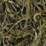 Tropifit Naturals Babka Lancetowata 100g - obrazek 2