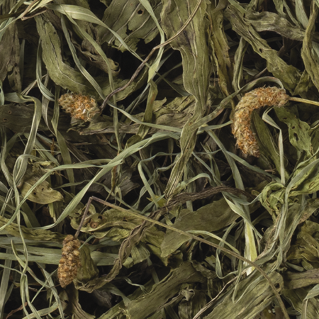 Tropifit Naturals Babka Lancetowata 100g Tropifit Naturals Babka Lancetowata 100g - obrazek 2