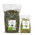 Alegia babka lancetowata suszona