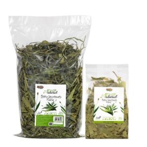 Alegia babka lancetowata suszona