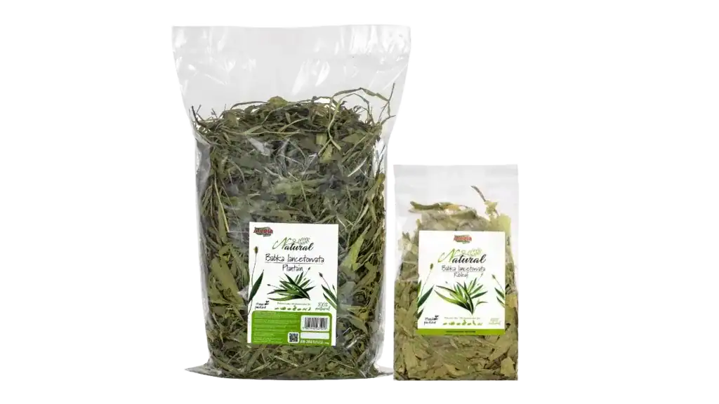 Alegia Babka Lancetowata Natural alegia babka lancetowata