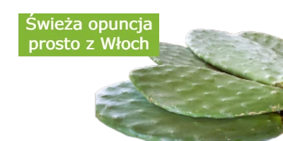opuncja dla gadów