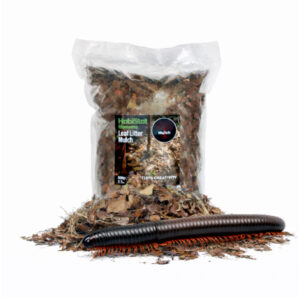 b6b15c85a227a39be1f131ebf6a493cb