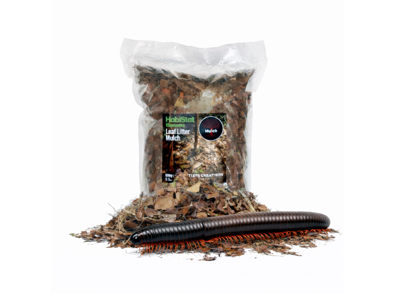 019c60550834c1c7786c525ed4f46314.jpg b6b15c85a227a39be1f131ebf6a493cb