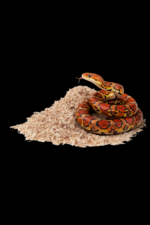 1b6635c2d4b3436155c5cee705529f69