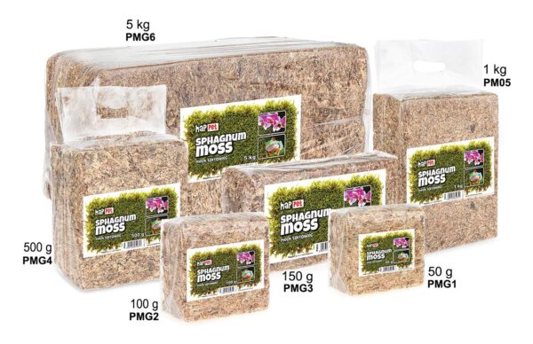 Mech torfowiec Sphagnum moss 100g - obrazek 5