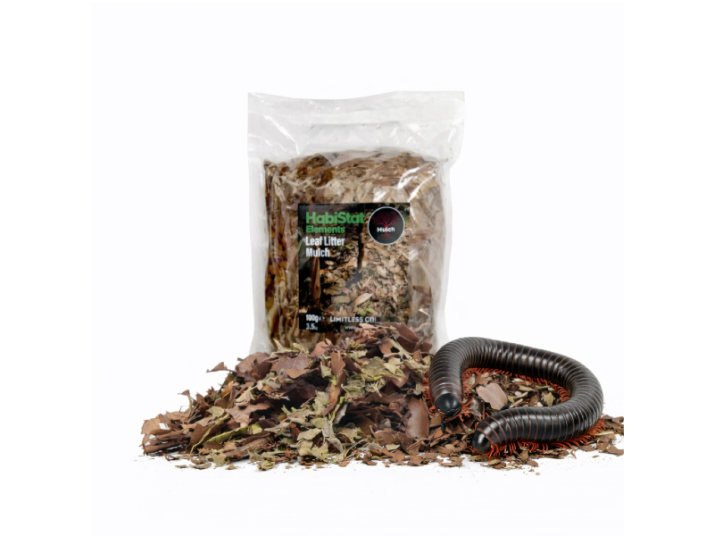 239720918df20ccc89cf193eb9bc4760.jpg 4a19a7bedf5288f6aacfee8be8a4d31f