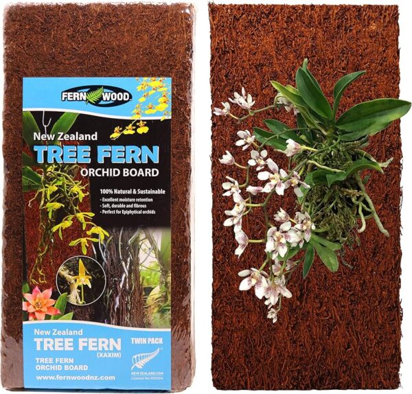 Tree Fern Panel tło do terrarium z paproci drzewiastej 50cm - obrazek 2