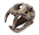 Dekoracja Ozdoby akwariowe - czaszka z kłami Happet