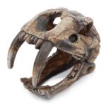 Dekoracja Ozdoby akwariowe - czaszka z kłami Happet