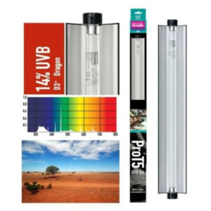 2513f96a4df7efb5d01188b244c2b53c