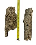 Tuby korkowe tuba korkowa dębowa 17-23cm / 4-6cm - obrazek 3