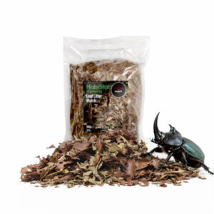 2cbfc9c6df9f54ff54032f5428edcd0e