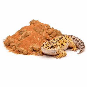 23092d0664bdd89311eca48be9ac1203