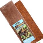 Tree Fern Panel tło do terrarium z paproci drzewiastej 50cm