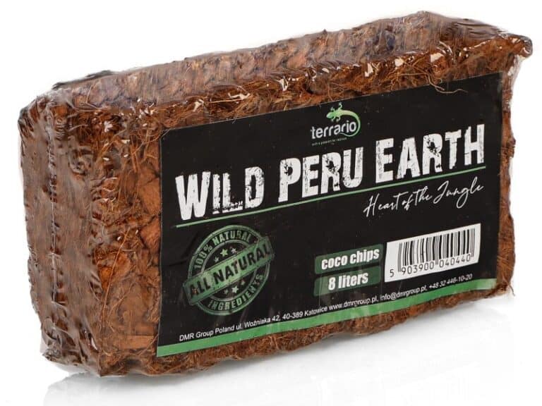 Terrario Wild Peru Earth