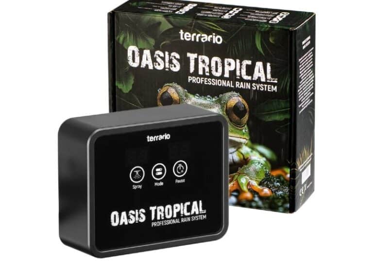 Terrario Oasis Tropical