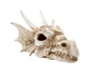 Dekoracja ozdoba terrarium czaszka smok Happet - obrazek 2