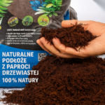 Tree Fernwood Podłoże do terrarium z paproci drzewiastej Diksonia 5l - obrazek 2