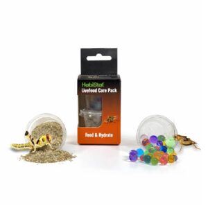 Insect fuel feeder insect food