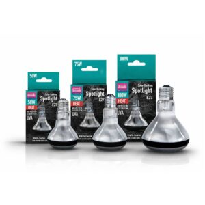 Hodowla żółwi lądowych