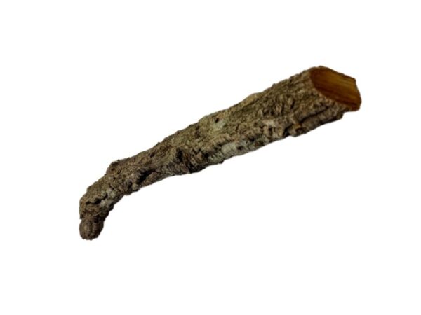 Gałęzie korkowe proste do terrarium 35-40cm - obrazek 3