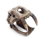 Dekoracja Ozdoby akwariowe - czaszka z kłami Happet - obrazek 2