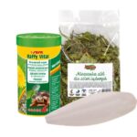 Zestaw startowy - pokarm dla żółwia lądowego