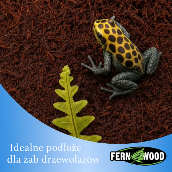Tree Fernwood Podłoże do terrarium z paproci drzewiastej Diksonia 40l - obrazek 3