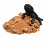 9de7668999fcc91e624d29efe4c7c71b