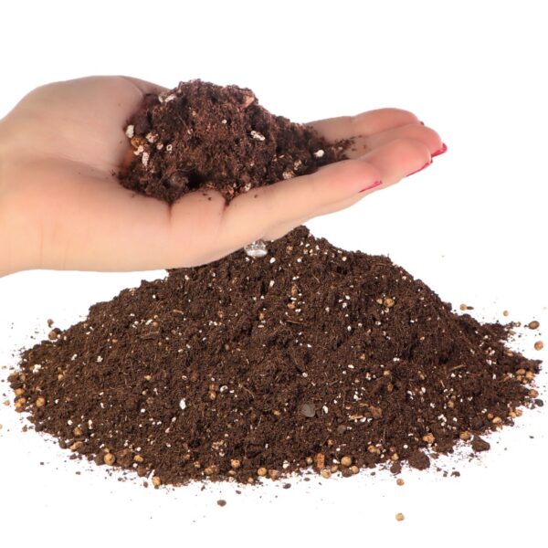 Terrario Supai Oya Soil - podłoże dla żółwi 6l - obrazek 3