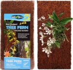 Tree Fern Panel tło do terrarium z paproci drzewiastej 30cm - obrazek 3