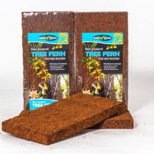 Tree Fern Panel tło do terrarium z paproci drzewiastej 30cm